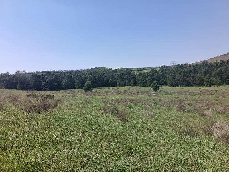 0 Bedroom Property for Sale in Albertinia Western Cape